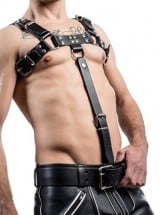 Harnesses