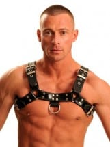 Harnesses