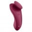 Satisfyer Sexy Secret Panty Vibrator