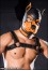 Mr. S Leather Neoprene K9 Hood Orange