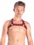 Kožený postroj Mister B X-Back Harness Premium červený