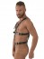 Postroj Mister B Master Harness