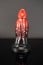 Twisted Beast Xaphan Dildo Demon Blood (Ombre) Small
