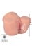 Vibrační a sací torzo Hidden Desire Bangers Juicy Sucking Pussy