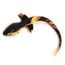 Slave4master Silicone Puppy Tail Black-Orange