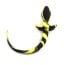 Slave4master Silicone Puppy Tail Black-Yellow