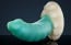 Weredog Skylar Dragon Dildo Signature Medium