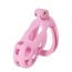 Hidden Desire Extreme Penis Prison Cock Cage Regular Pink