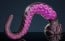 Weredog Eden Dildo Signature Small