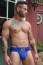 Jocksy Breedwell Cumdump Jock modré
