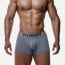 PUMP! Classic Boxer Gray