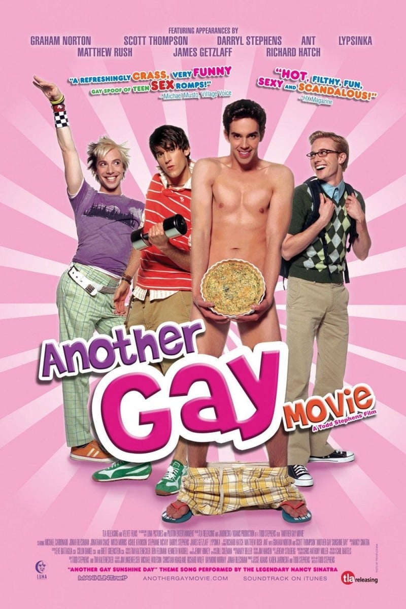 Another Gay Movie DVD