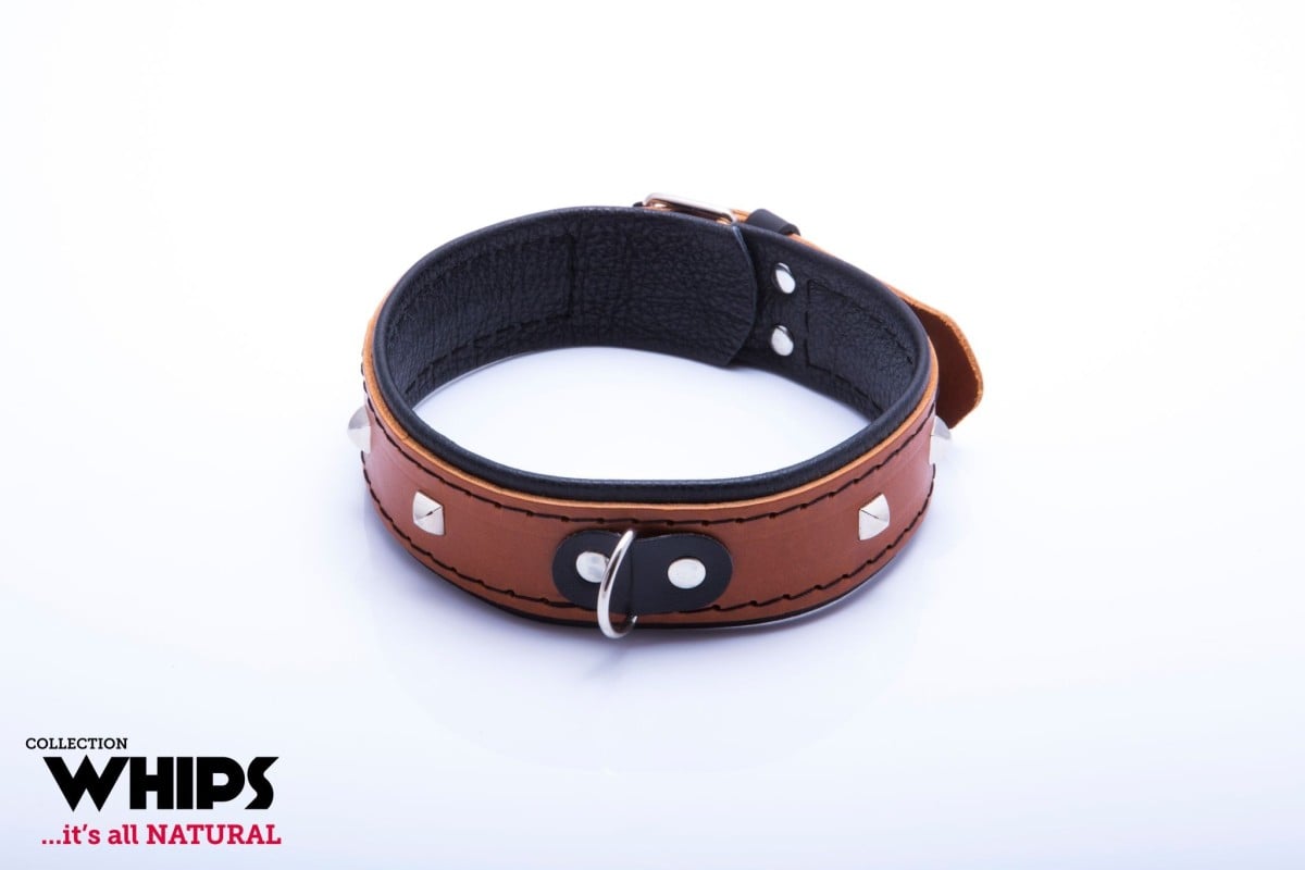 WHIPS Leather Collar 4 cm for Her Cognac, hnědý obojek s černým polstrováním