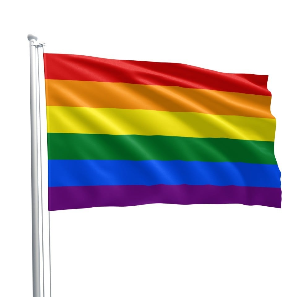 Vlajka Gay Pride Rainbow Flag