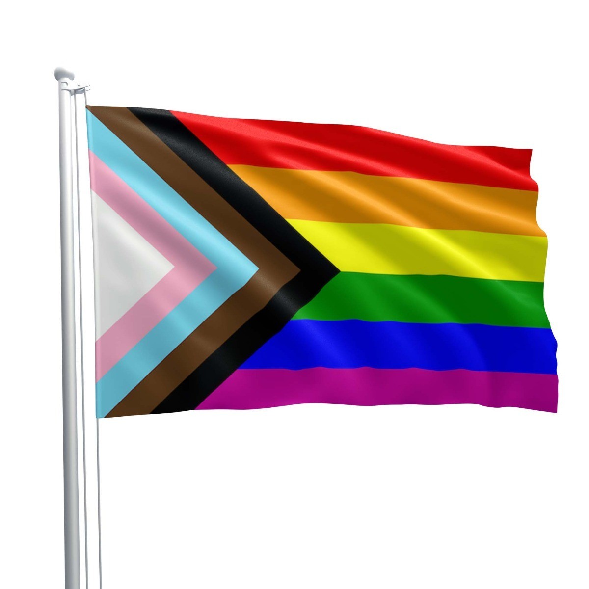 Vlajka Progress Pride Flag