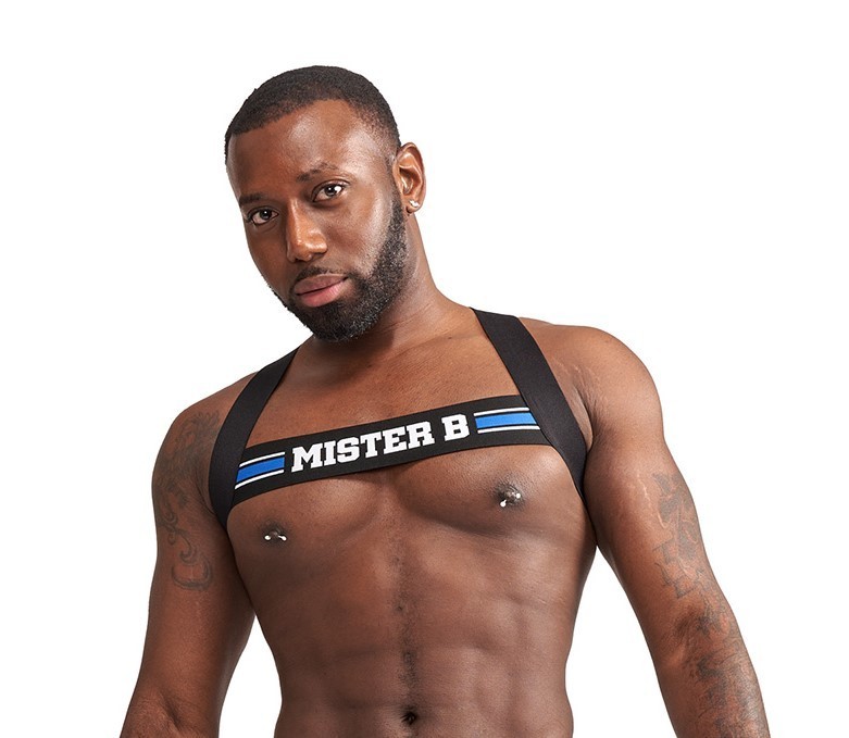 Harness Mister B Urban Club X-Back Striped modrý