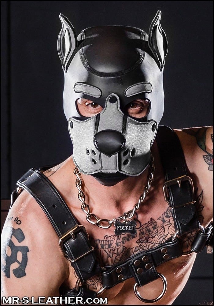 Psí maska Mr. S Leather Neoprene K9 Hood šedá Large, neoprenová psí kukla pro puppy play