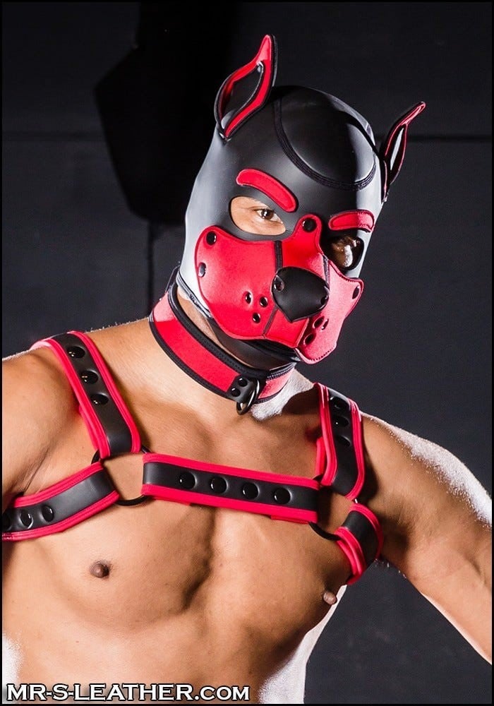 Psia maska Mr. S Leather Neoprene K9 Hood červená