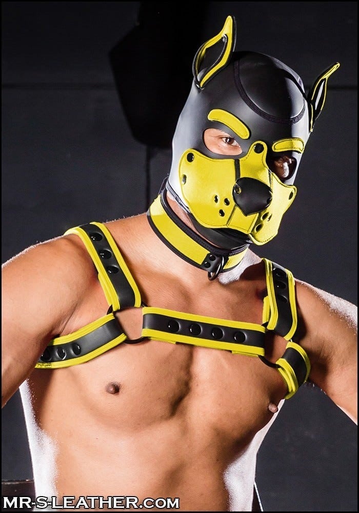 Psí maska Mr. S Leather Neoprene K9 Hood žlutá Medium, neoprenová psí kukla pro puppy play