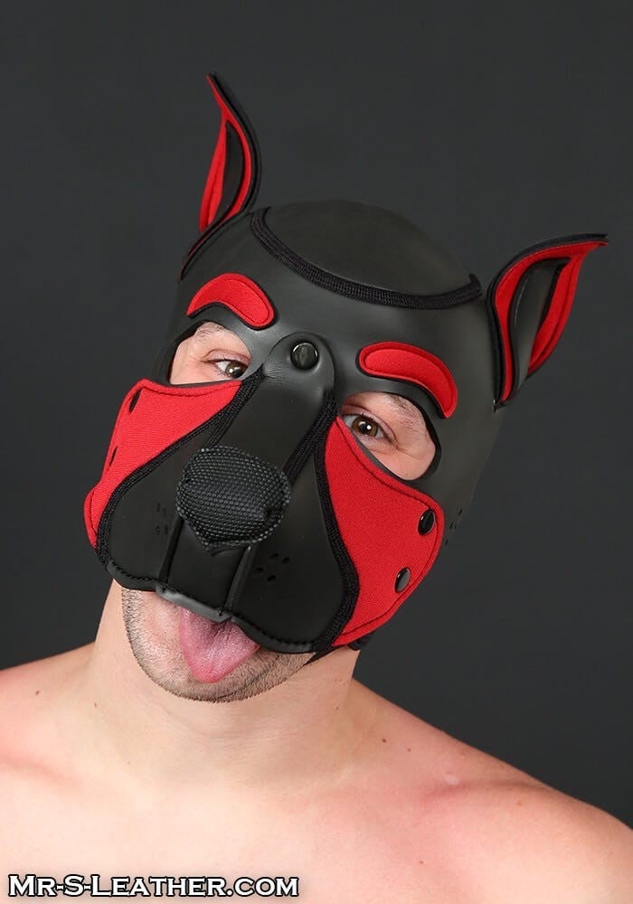 Psí maska Mr. S Leather Neoprene Frisky Pup Hood červená Medium, neoprenová psí kukla pro puppy play