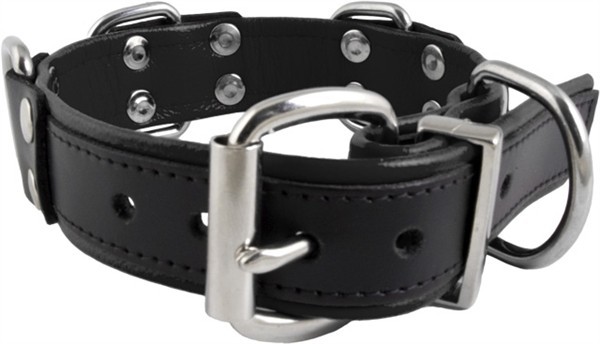 Obojek Mister B Slave Collar 4 D-Rings černý, kožený BDSM obojek s D-kroužky