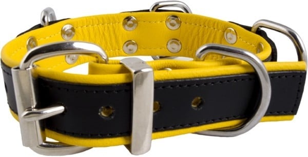 Obojek Mister B Slave Collar 4 D-Rings žlutý, kožený BDSM obojek s D-kroužky