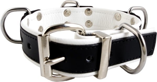 Obojok Mister B Slave Collar 4 D-Rings biely