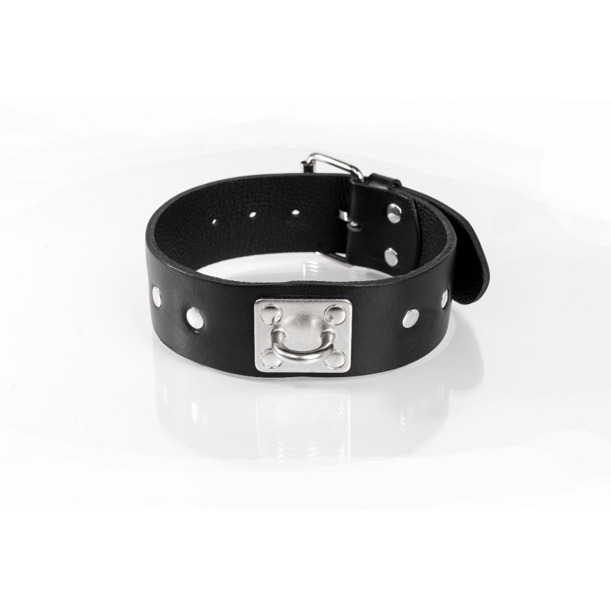 Whips Primal Bond Studded Collar Small Black