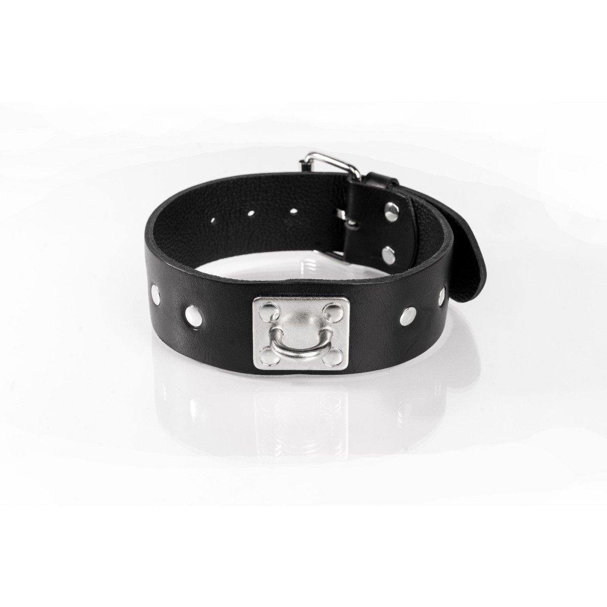 Kožený obojek Whips Primal Bond Studded Collar Large černý