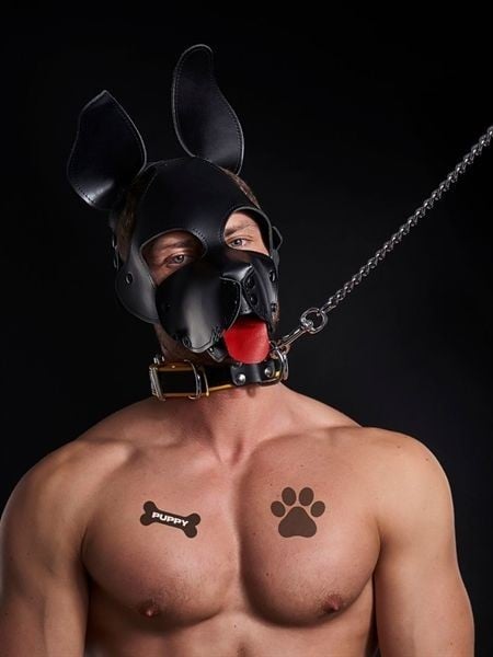 Dočasné tetovanie Mister B Puppy Pack