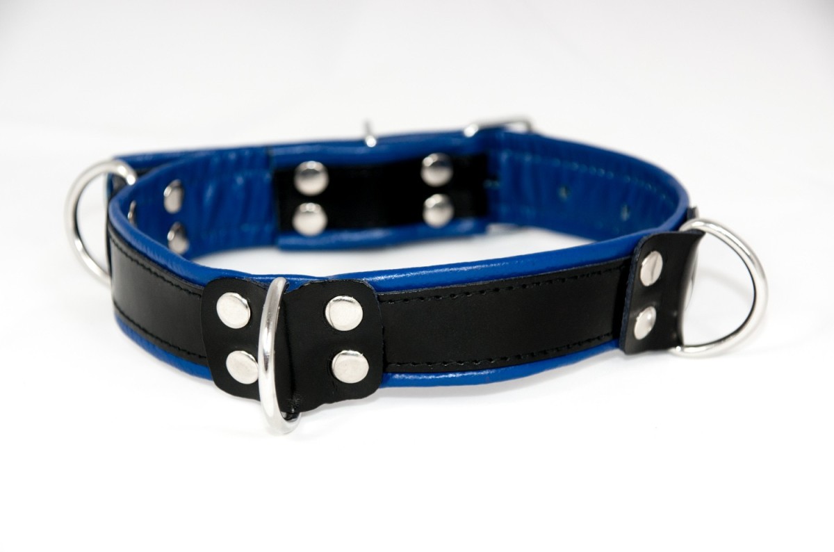 Kožený obojek Slave4master Basic Collar modrý, BDSM obojek s D-kroužky