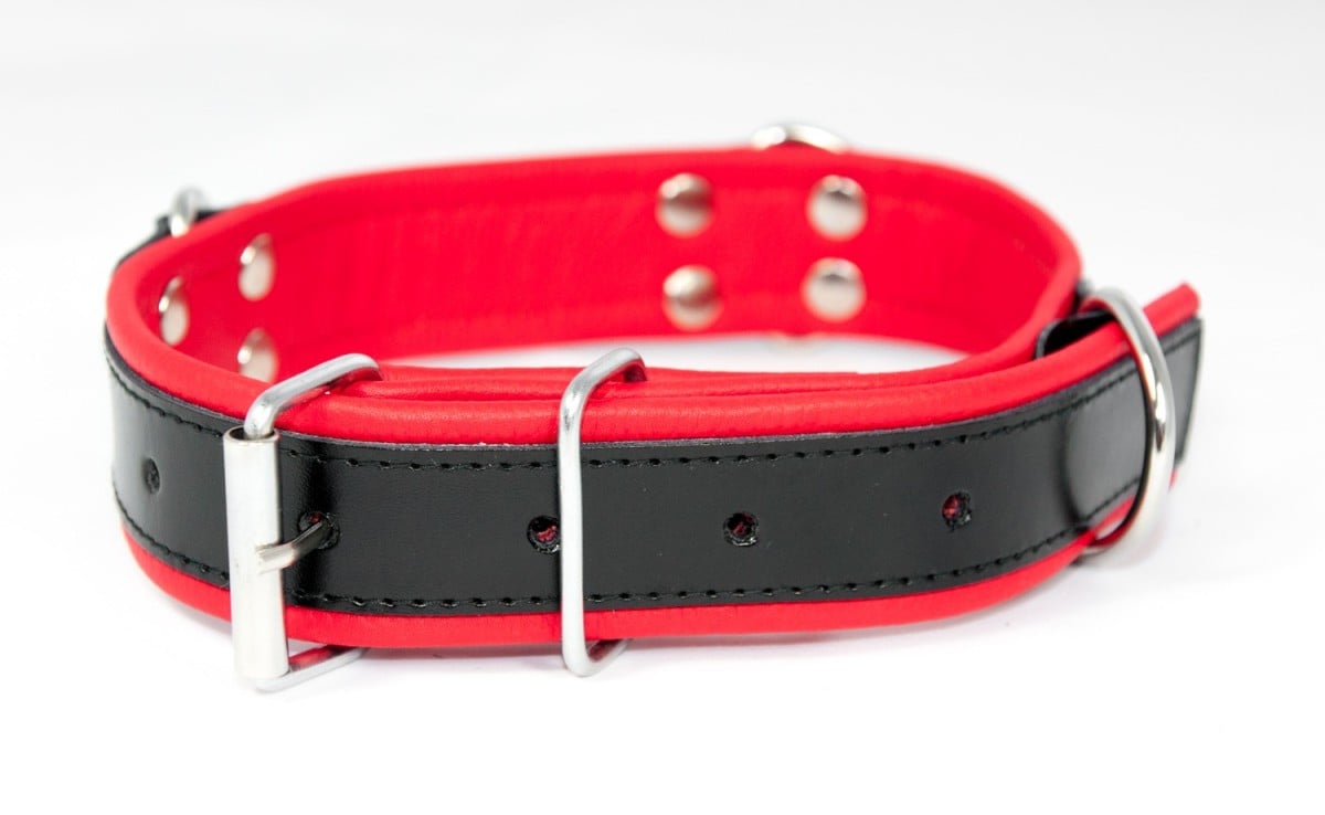 Kožený obojek Slave4master Basic Collar červený, BDSM obojek s D-kroužky
