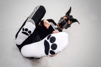 Sk8erboy Puppy Socks