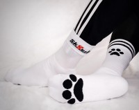 Sk8erboy Puppy Socks