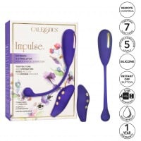 CalExotics Impulse E-Stim Remote Kegel Exerciser