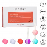 CalExotics She-ology Interchangeable Kegel Set