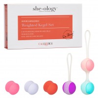 CalExotics She-ology Interchangeable Kegel Set