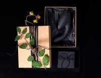 Luxusní vibrátor s podtlakovou stimulací Womanizer Duo Bordeaux