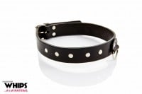 Whips Leather Collar for Him