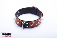 Whips Leather Collar with Leash for Him Cognac