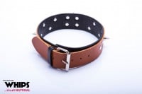 Whips Leather Collar with Leash for Him Cognac