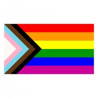 Vlajka Progress Pride Flag