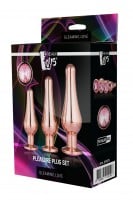 Gleaming Love Butt Plug Set Rose Gold