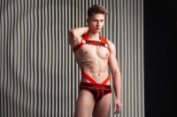 Outtox HR141-10 Bulldog Harness with Cockring Red