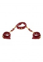 Taboom D-Ring Collar and Wrist Cuffs