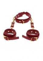 Taboom D-Ring Collar and Wrist Cuffs