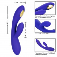 CalExotics Impulse Intimate E-Stim Dual Vibrator