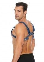 Ouch! Buckle Bulldog Harness Blue