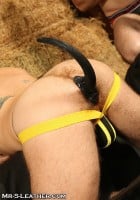 Anální kolík s ocasem SquarePegToys Happy Puppy Tail Black XL