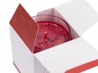 Magnetifico Love Me Candle Sandalwood